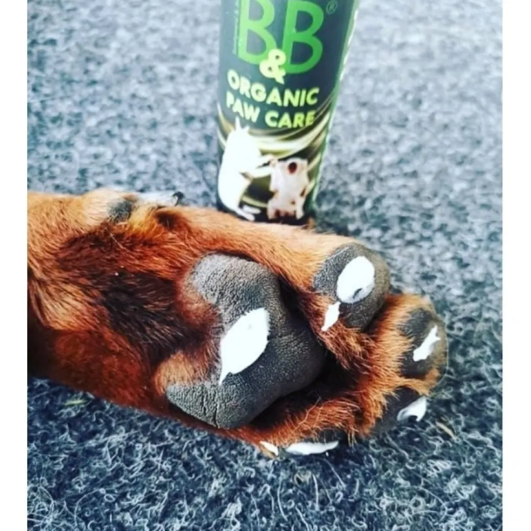 B&B Økologisk Potepleje