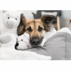 Be Eco Alpaka Eyleen - bamse i genbrugsplys til hunde