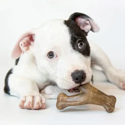 Benebone Puppy Wishbone Bacon S - hvalpe tyggeben med bacon