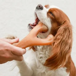Benebone Wishbone Kylling S - tyggeben med kylling