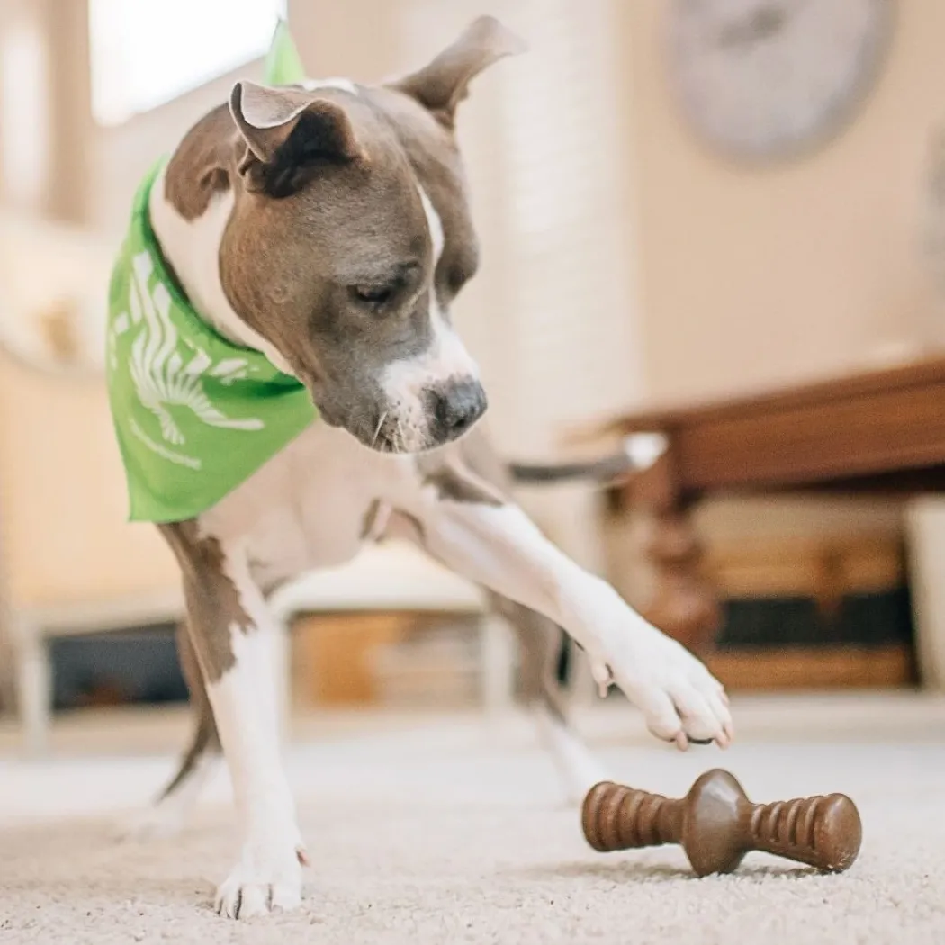 Benebone Zaggler Peanut M - tyggeben med peanut