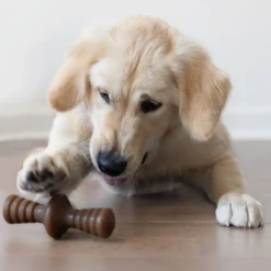 Benebone Zaggler Peanut S - tyggeben med peanut