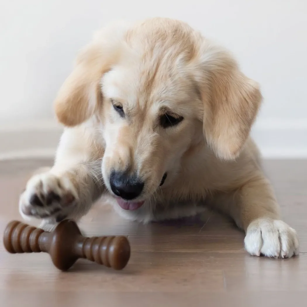 Benebone Zaggler Peanut S - tyggeben med peanut