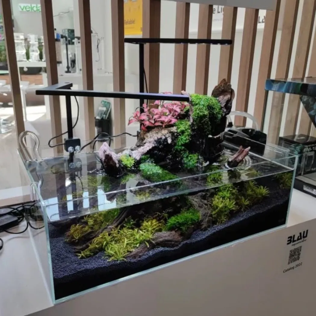 Blau Glasakvarium CUBIC Aquascaping Shallow 17 45x24x16 cm