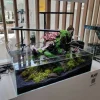 Blau Glasakvarium CUBIC Aquascaping Shallow 44 62x36x20 cm