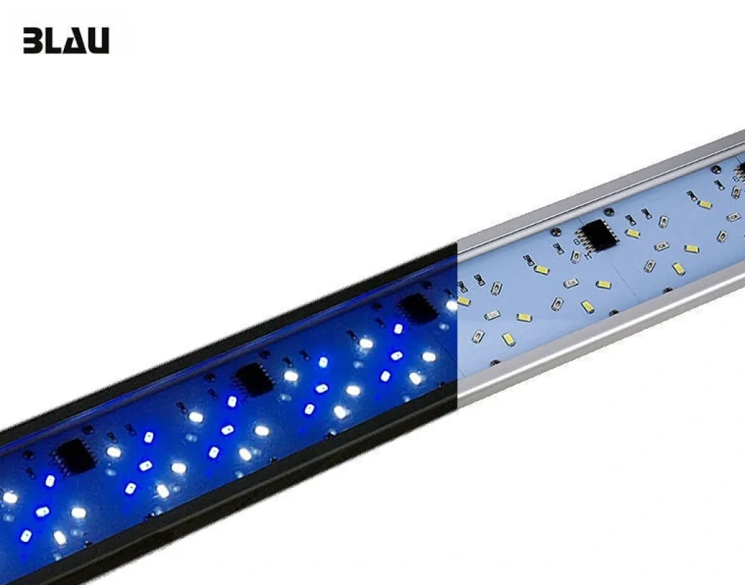 Blau Saltvandsakvarium All in One 91 Liter