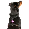 Blinky silicone hunde lygte
