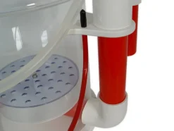 Bubble King DeLuxe 250 internal + RD3 Speedy Skummer