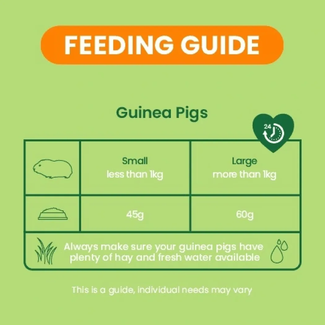 Burgess Excel Guinea Pig 3 kg - Højt fiberindhold med mint og C-vitamin