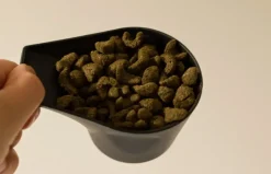 Burgess Excel Marsvin Mint 10 kg - fuldfoder til voksne marsvin
