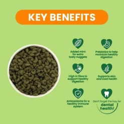 Burgess Excel Marsvin Mint 10 kg - fuldfoder til voksne marsvin