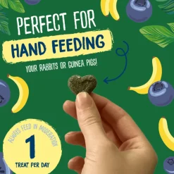 Burgess Excel Natures Snack Fruit Feasts 60 g - Frugtsnacks til håndfodring