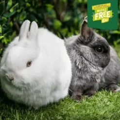 Burgess Excel Rabbit Junior & Dwarf 3 kg - Sund vækst og trivsel