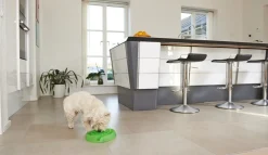 Buster dogmaze (Lime)