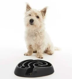 Buster dogmaze (sort)