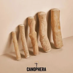 Canophera Kaffetræ L - naturligt tyggelegetøj til store hunde