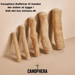 Canophera Kaffetræ L - naturligt tyggelegetøj til store hunde