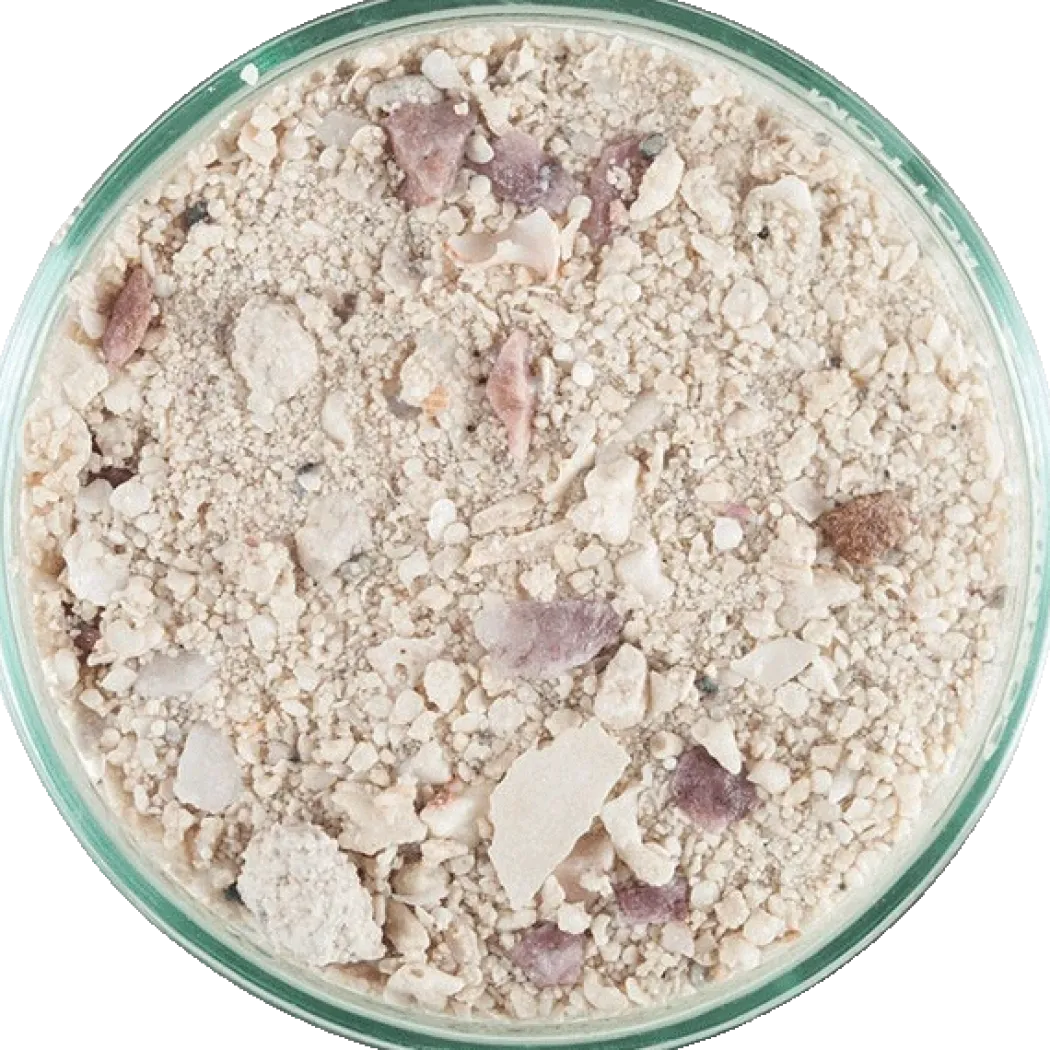 CaribSea Aragalive Bimini Pink 9,07 kg