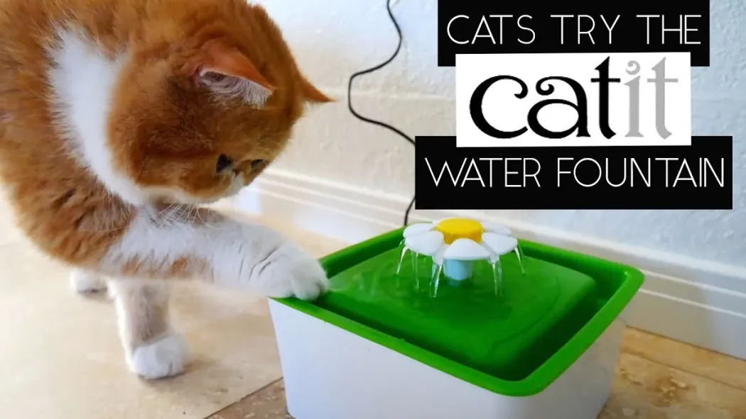 Catit Blomster Vandautomat Mini til Kat
