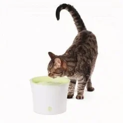 Catit Design drikkefontæne 3 liter hvid/lime