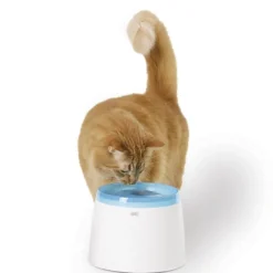 Catit Fresh og clear drikkeautomat 2 liter
