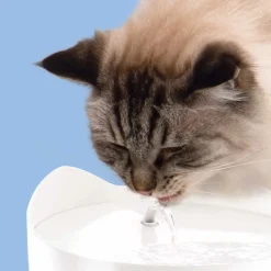 Catit Pixi Drikkefontæne i Blå