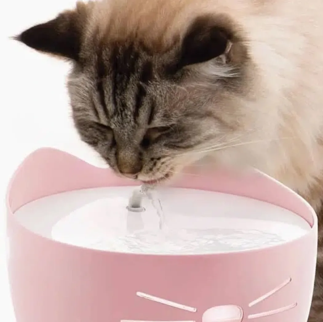 Catit Pixi Drikkefontæne i Pink