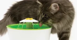 Catit Senses 3.0 Flower Fountain (drikkeautomat)