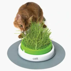 Catit Senses Kattegræs