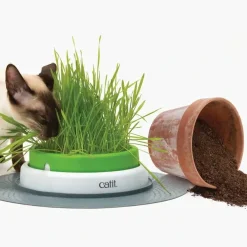 Catit Senses Kattegræs