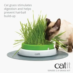 Catit Senses 2.0 Kattegræs Refill Kit sæt med 3 stk.