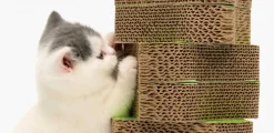 Catit Senses 2.0 Scratcher