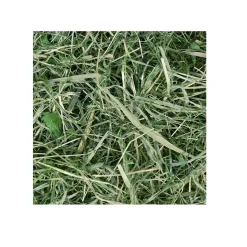 Chipsi Sunshine Timothy Hø 800 g