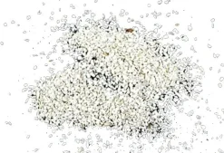 Cichlidesand til akvarier (0,5-1,0 mm) 25 kg