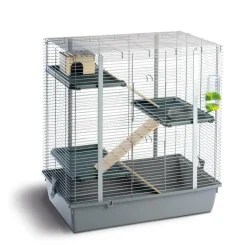 Cody gnaverbur