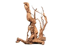 Curl Wood Krøllet træ Medium