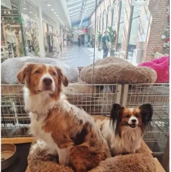 Cushion Krems fluffy rund hundeseng large mørkebrun