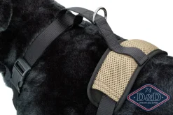 D & D All Season Hundesele L - Hals 50-71 cm livvidde 62-84 cm