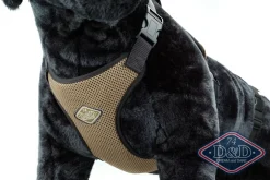 D & D All Season Hundesele L - Hals 50-71 cm livvidde 62-84 cm