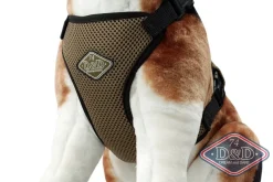 D & D All Season Hundesele L - Hals 50-71 cm livvidde 62-84 cm