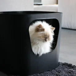 D&D CAT Kattetoilet DEAN - Stilrent - rummeligt og miljøvenligt
