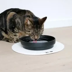 D&D CAT Keramisk Drikkeskål (L) ACE Ø20 cm. Sort