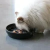 D&D CAT SUE- Slow Feeder