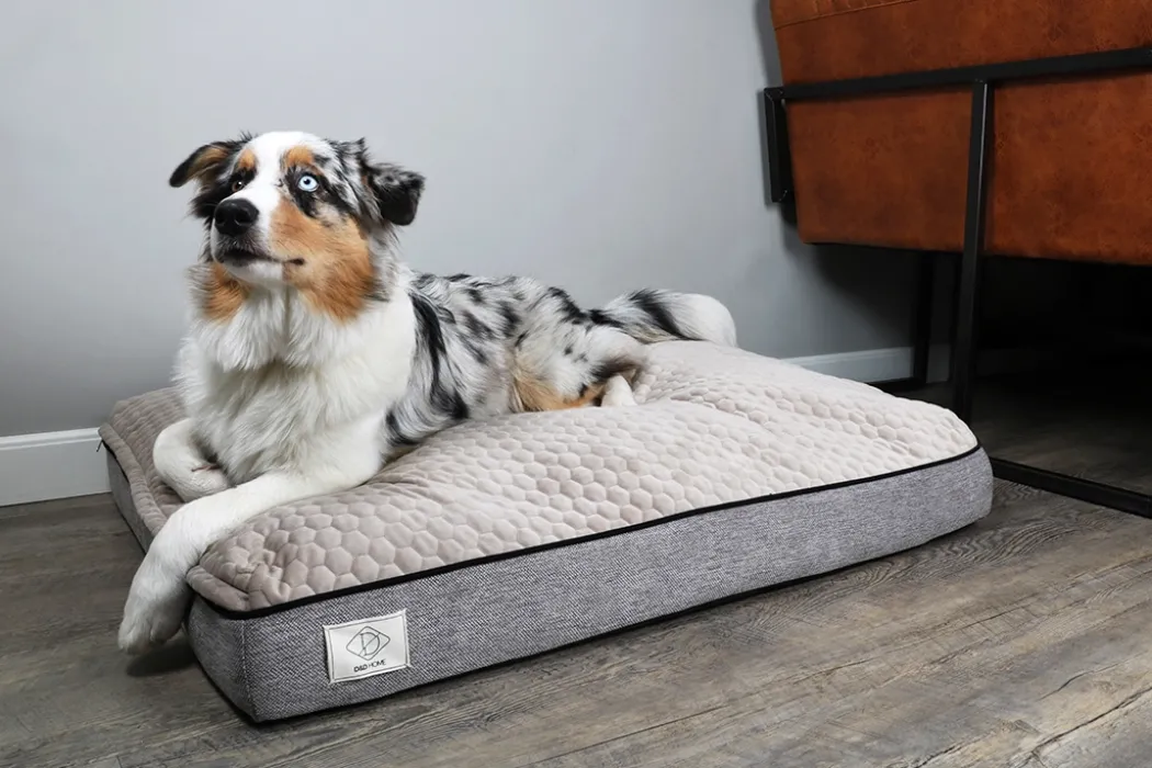 D&D Home Celia hundeseng Taupe medium 100x75x15 cm