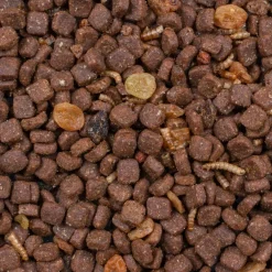 Deli Nature Greenline Pindsvinfoder 600 g - Naturligt & energirigt foder til havens pindsvin