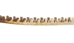 Denta Fun Veggie Tyggeben 22 cm (vegetabilsk) - stort vegansk tyggeben til hunde