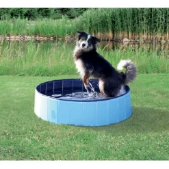 Dog Pool 80 x 20cm i lyse blå