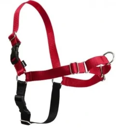 Easy Walk Hundesele Rød XL - Bryst 44-59,5 cm