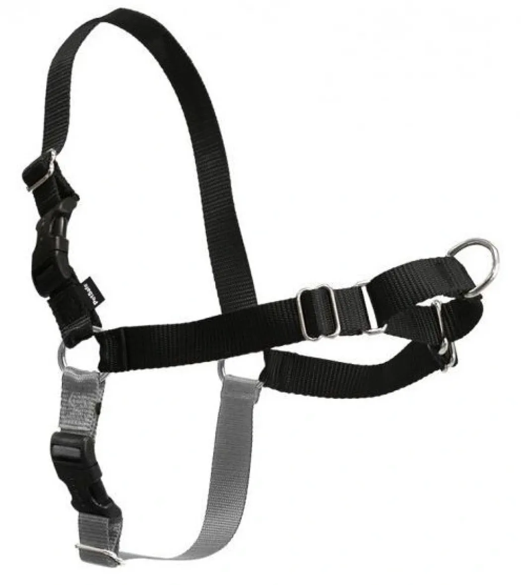 Easy Walk Hundesele Sort XL - Bryst 44-59,5 cm