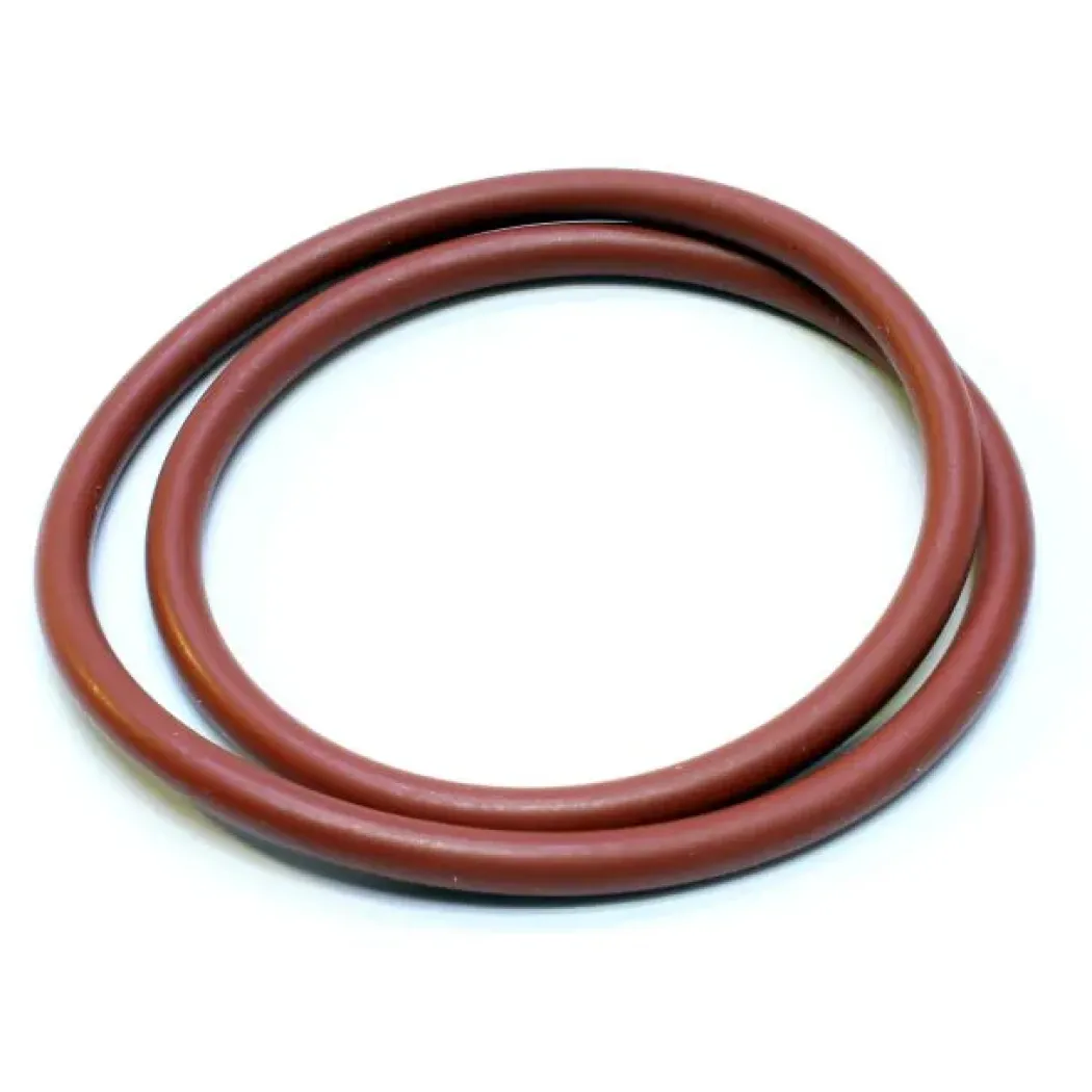 Eheim O-ring til Ecco Pro 2032/2034/2036 (7314058)